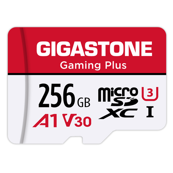 GIGASTONE(R) GS256GPMSD 256GB GMPLUS MICRO SD CRD